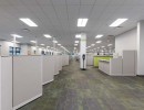 sparrowhawk college reneer