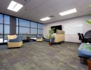 sparrowhawk college reneer